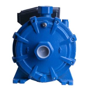 پمپ 2 اسب دو پروانه اسپرونی مدل SPERONI-2cm25-160b