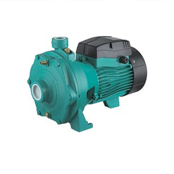 پمپ آب دو پروانه لئو 2AC300H